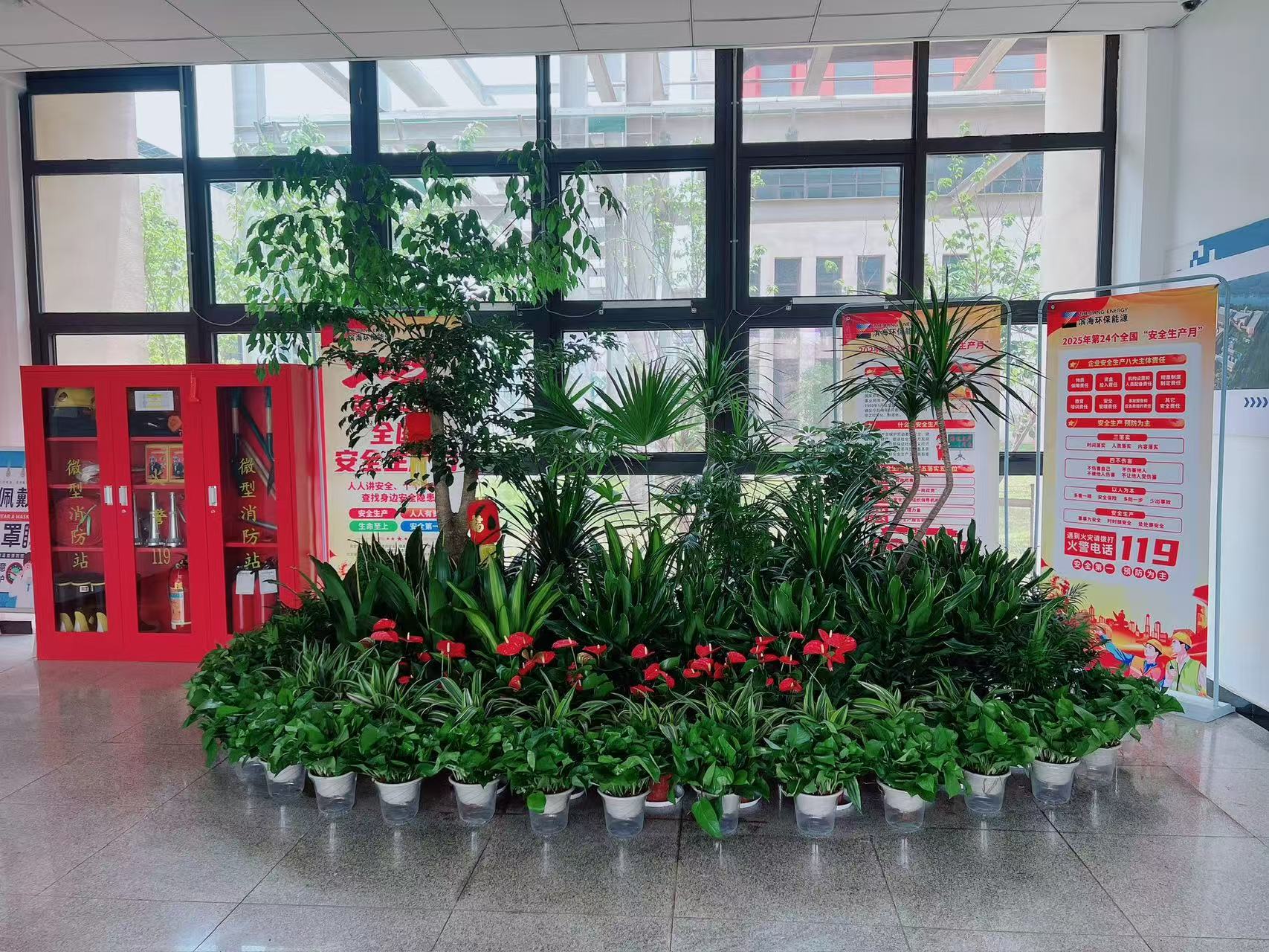 想租盆景？宁波镇海优质选择别错过